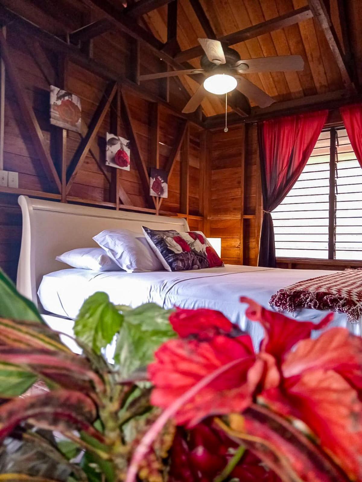 Villa Bahia Del Sol Μπόκας ντελ Τόρο Εξωτερικό φωτογραφία